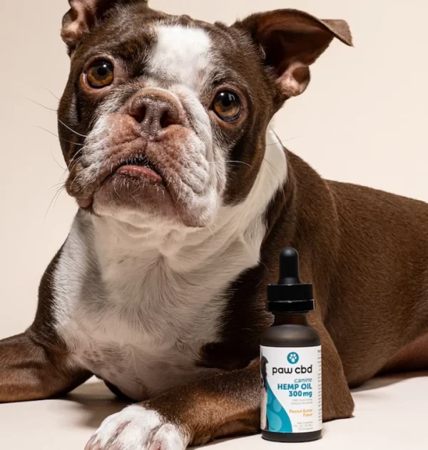 Broad Spectrum CBD Dog Oil Tincture - Image 5