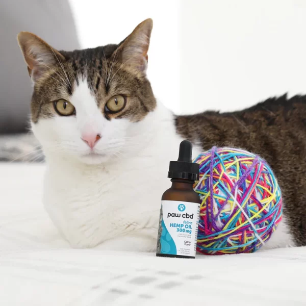 Broad Spectrum CBD Cat Oil Tincture - Image 2