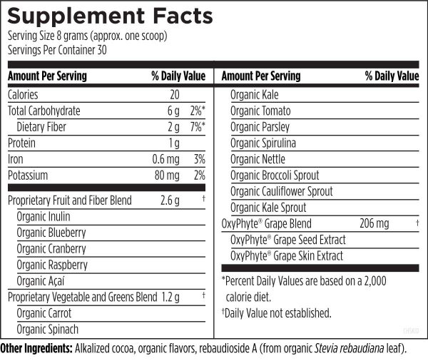 Chocolate Superfood Powder - Image 2