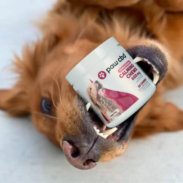 Broad Spectrum CBD Dog Calming Chews - Image 6
