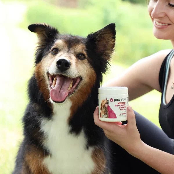 Broad Spectrum CBD Dog Hip + Joint Chews - Image 6