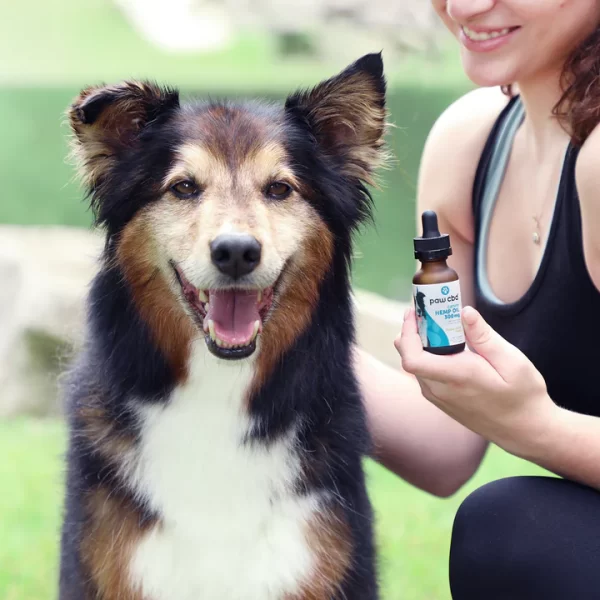 Broad Spectrum CBD Dog Oil Tincture - Image 6